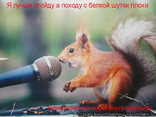 Я лучше отойду а походу с белкой шутки плохи (приключения наркомана павлика)... Котоматрица: Я лучше отойду а походу с белкой шутки плохи (приключения наркомана павлика)
