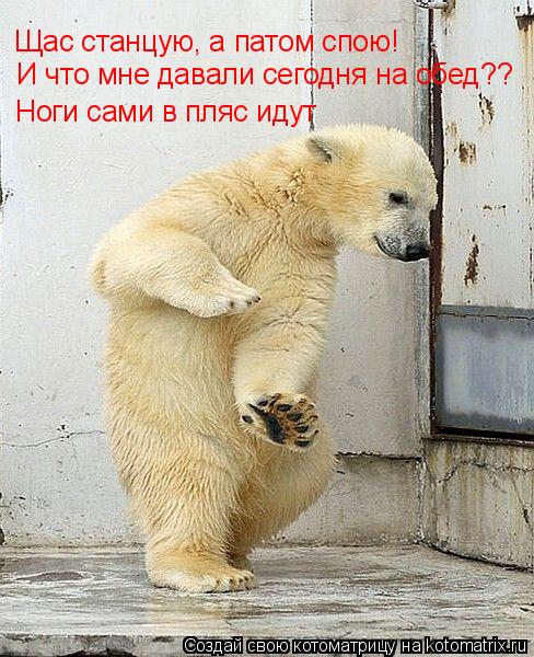Щас станцую, а патом спою! И что мне давали сегодня на обед?? Ноги сами в пляс идут... Котоматрица: Щас станцую, а патом спою! И что мне давали сегодня на обед?? Ноги сами в пляс идут
