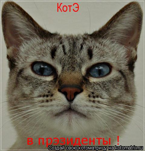 КотЭ в прэзиденты !... Котоматрица: КотЭ в прэзиденты !
