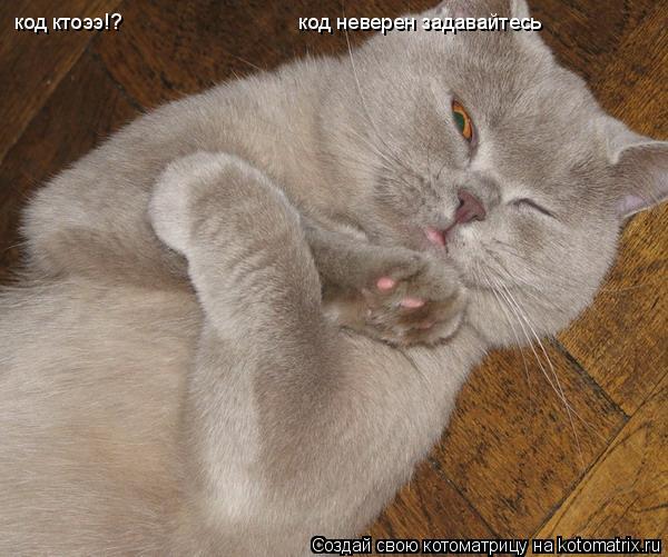 код ктоээ!? код неверен задавайтесь... Котоматрица: код ктоээ!? код неверен задавайтесь