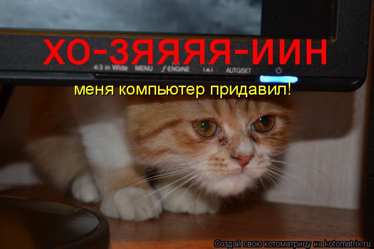 хо-зяяяя-иин меня компьютер придавил!... Котоматрица: хо-зяяяя-иин меня компьютер придавил!