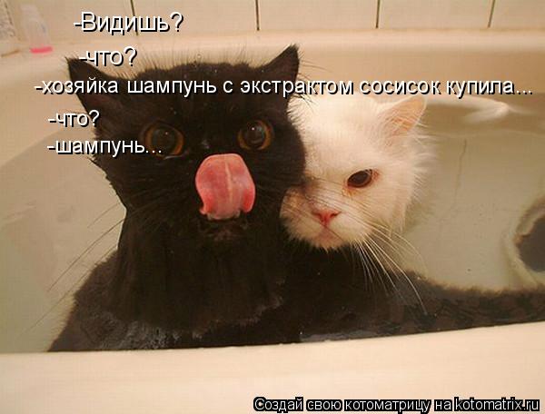 -Видишь? -что? -хозяйка шампунь с экстрактом сосисок купила... -что? -шампунь...... Котоматрица: -Видишь? -что? -хозяйка шампунь с экстрактом сосисок купила... -что? -шампунь...