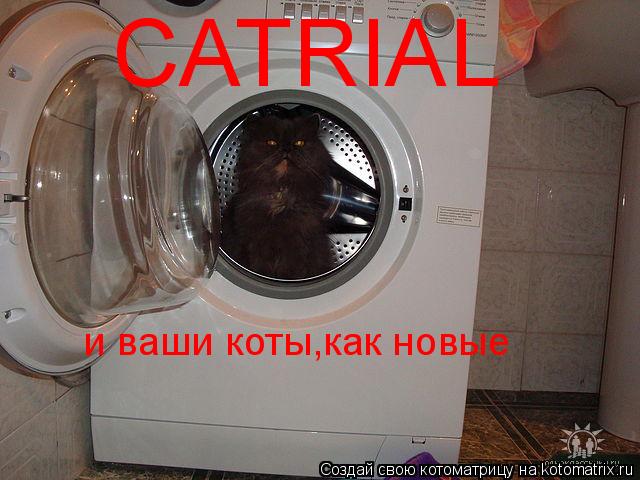 Котоматрица: CATRIAL и ваши коты,как новые