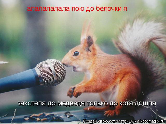 алалалалала пою до белочки я захотела до медведя только до кота дошла захотела до медведя только до к... Котоматрица: алалалалала пою до белочки я захотела до медведя только до кота дошла захотела до медведя только до кота дошла алалалалала пою до белочки я