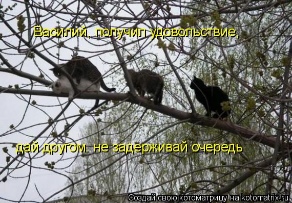 Василий, получил удовольствие, дай другом. не задерживай очередь... Котоматрица: Василий, получил удовольствие, дай другом. не задерживай очередь
