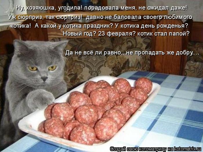 Ну, хозяюшка, угодила! порадовала меня, не ожидал даже! Уж сюрприз, так сюрприз! давно не баловала с... Котоматрица: Ну, хозяюшка, угодила! порадовала меня, не ожидал даже! Уж сюрприз, так сюрприз! давно не баловала своего любимого котика! А какой у котика п