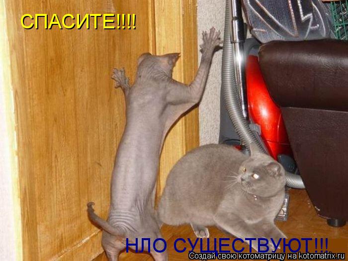 СПАСИТЕ!!!! НЛО СУЩЕСТВУЮТ!!!... Котоматрица: СПАСИТЕ!!!! НЛО СУЩЕСТВУЮТ!!!