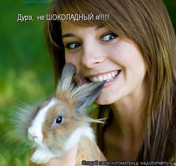 Дура, не ШОКОЛАДНЫЙ я!!!!!!... Котоматрица: Дура, не ШОКОЛАДНЫЙ я!!!!!!