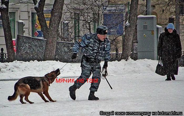 мячик не там мячик не там... Котоматрица: мячик не там мячик не там