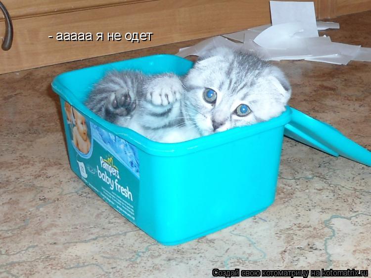 - ааааа я не одет... Котоматрица: - ааааа я не одет