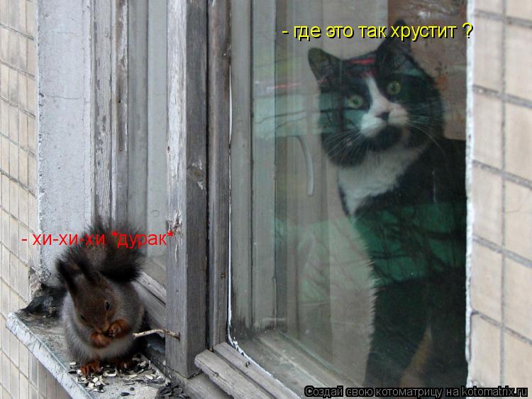 Котоматрица: - где это так хрустит ? - хи-хи-хи *дурак*