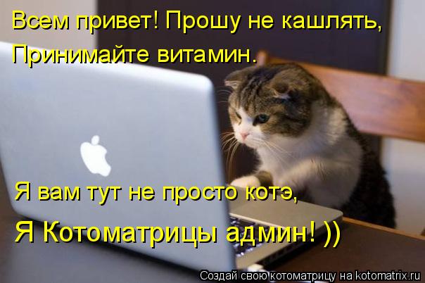 Котоматрица: Всем привет! Прошу не кашлять, Принимайте витамин. Я вам тут не просто котэ, Я Котоматрицы админ! ))