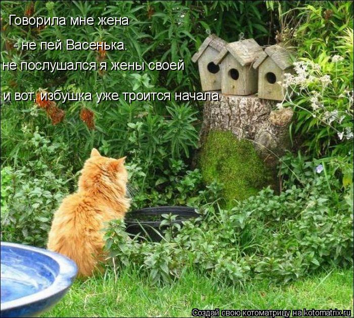 Котоматрица: Говорила мне жена  - не пей Васенька. не послушался я жены своей и вот, избушка уже троится начала