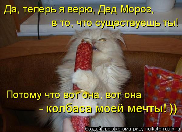 Да, теперь я верю, Дед Мороз, в то, что существуешь ты! Потому что вот она, вот она - колбаса моей ... Котоматрица: Да, теперь я верю, Дед Мороз, в то, что существуешь ты! Потому что вот она, вот она - колбаса моей мечты! ))
