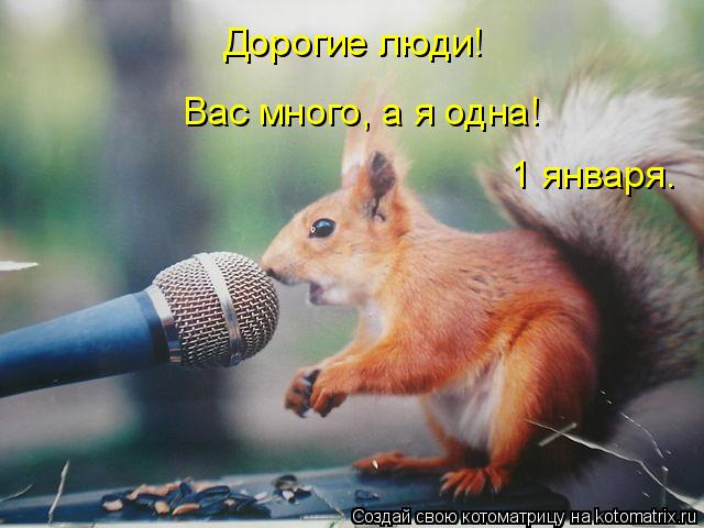 Дорогие люди! Вас много, а я одна! 1 января.... Котоматрица: Дорогие люди! Вас много, а я одна! 1 января.