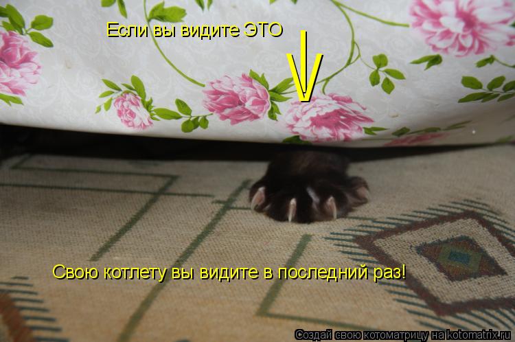 Если вы видите ЭТО | \/ Свою котлету вы видите в последний раз!... Котоматрица: Если вы видите ЭТО | \/ Свою котлету вы видите в последний раз!