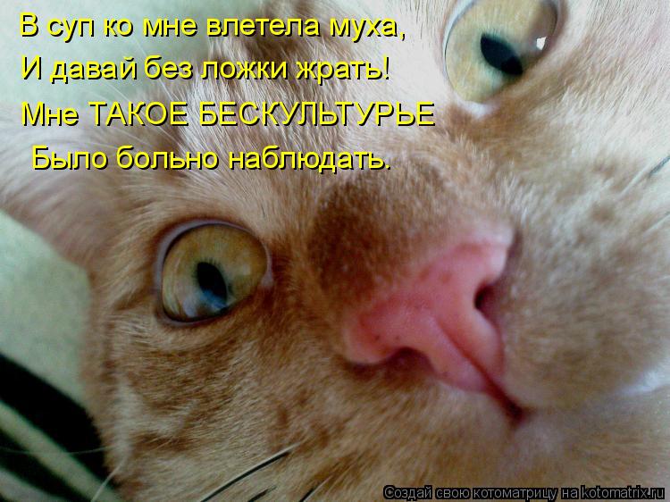 В суп ко мне влетела муха, И давай без ложки жрать! Мне ТАКОЕ БЕСКУЛЬТУРЬЕ Было больно наблюдать.... Котоматрица: В суп ко мне влетела муха, И давай без ложки жрать! Мне ТАКОЕ БЕСКУЛЬТУРЬЕ Было больно наблюдать.