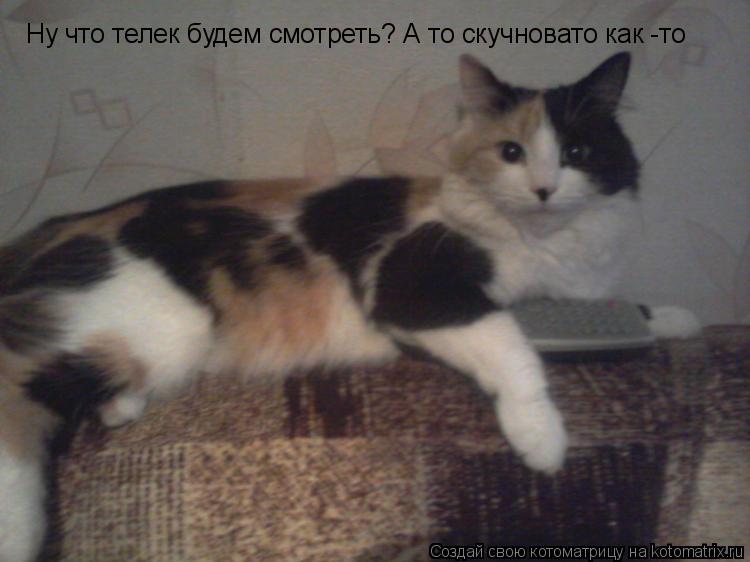 Ну что телек будем смотреть? А то скучновато как -то... Котоматрица: Ну что телек будем смотреть? А то скучновато как -то