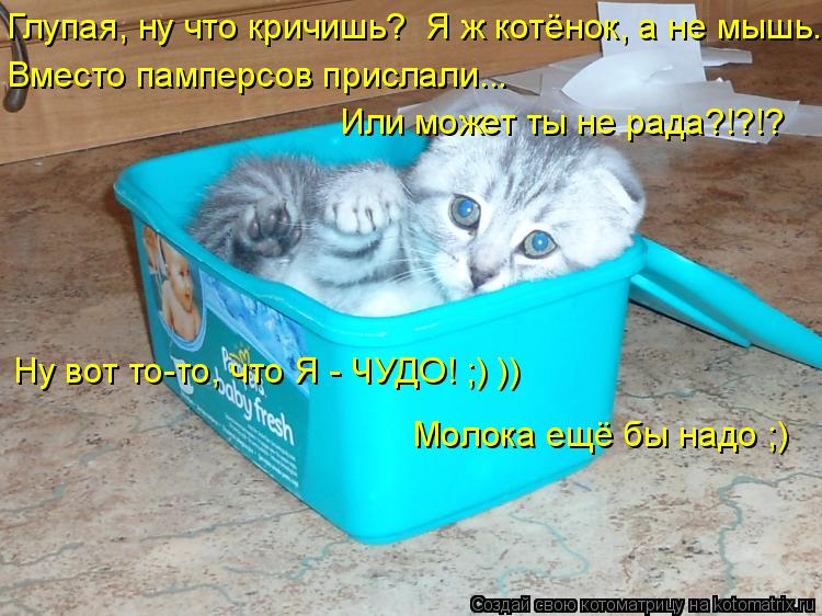 Глупая, ну что кричишь? Я ж котёнок, а не мышь. Вместо памперсов прислали... Или может ты не рада?!?... Котоматрица: Глупая, ну что кричишь? Я ж котёнок, а не мышь. Вместо памперсов прислали... Или может ты не рада?!?!? Ну вот то-то, что Я - ЧУДО! ;) )) Молока ещё