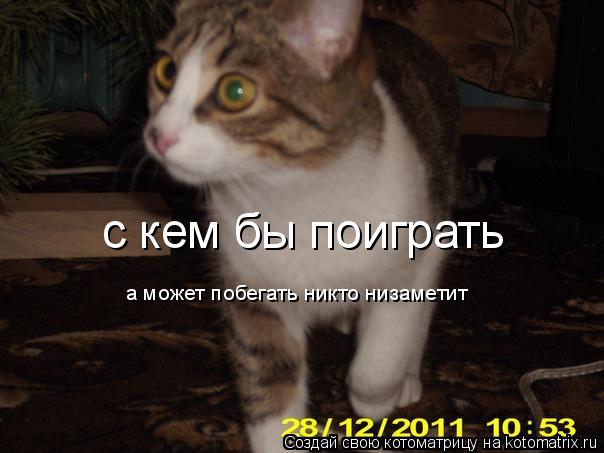 с кем бы поиграть а может побегать никто низаметит... Котоматрица: с кем бы поиграть а может побегать никто низаметит