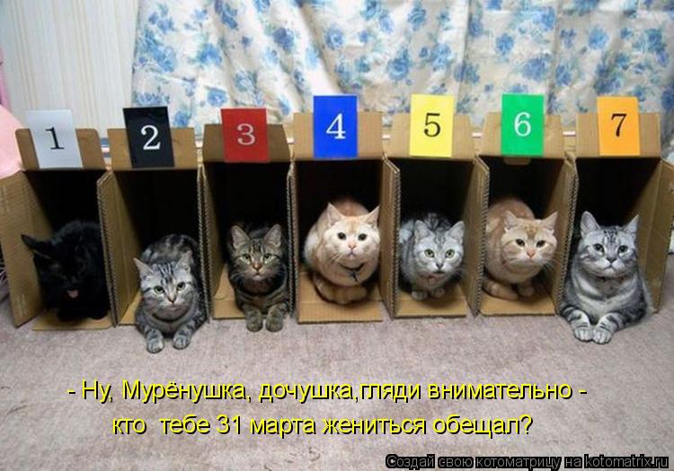- Ну, Мурёнушка, дочушка,гляди внимательно - кто тебе 31 марта жениться обещал?... Котоматрица: - Ну, Мурёнушка, дочушка,гляди внимательно - кто тебе 31 марта жениться обещал?