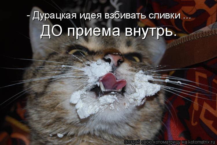 - Дурацкая идея взбивать сливки ... ДО приема внутрь.... Котоматрица: - Дурацкая идея взбивать сливки ... ДО приема внутрь.
