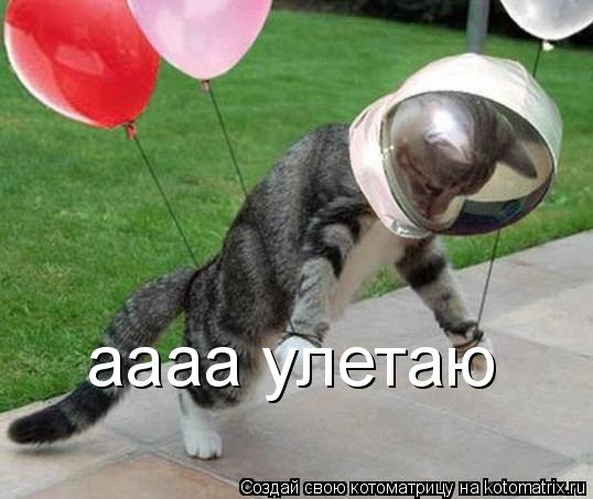 аааа улетаю... Котоматрица: аааа улетаю