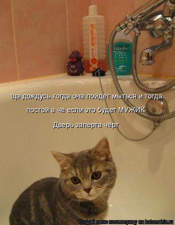 ща дождусь когда она пойдёт мыться и тогда... постой а чё если это будет МУЖИК Дверь заперта чёрт... Котоматрица: ща дождусь когда она пойдёт мыться и тогда... постой а чё если это будет МУЖИК Дверь заперта чёрт
