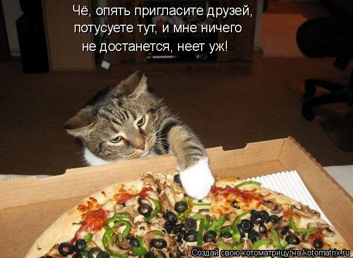 Чё, опять пригласите друзей, потусуете тут, и мне ничего не достанется, неет уж!... Котоматрица: Чё, опять пригласите друзей, потусуете тут, и мне ничего не достанется, неет уж!