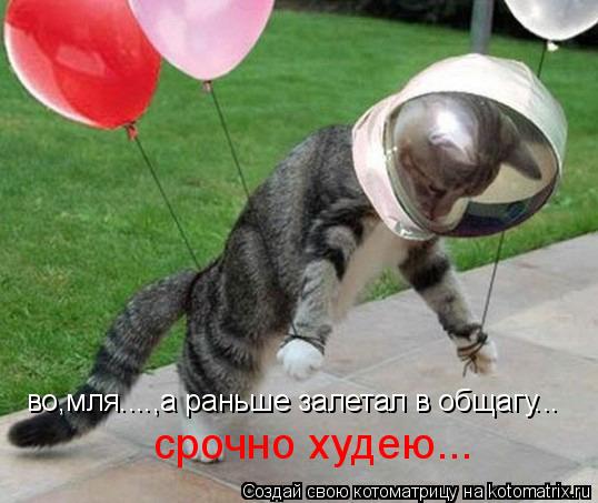 Котоматрица: во,мля....,а раньше залетал в общагу... срочно худею...