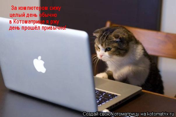 За компютером сижу целый день обычно в Котоматрице я ржу день прошёл привычно!... Котоматрица: За компютером сижу целый день обычно в Котоматрице я ржу день прошёл привычно!
