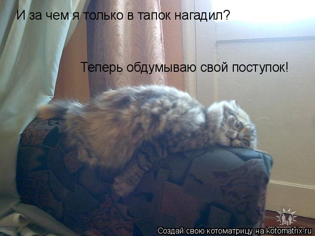 И за чем я только в тапок нагадил? Теперь обдумываю свой поступок!... Котоматрица: И за чем я только в тапок нагадил? Теперь обдумываю свой поступок!