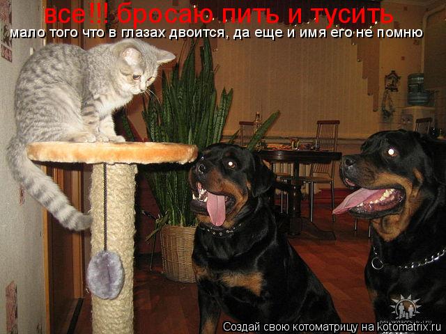 все!!! бросаю пить и тусить мало того что в глазах двоится, да еще и имя его не помню... Котоматрица: все!!! бросаю пить и тусить мало того что в глазах двоится, да еще и имя его не помню