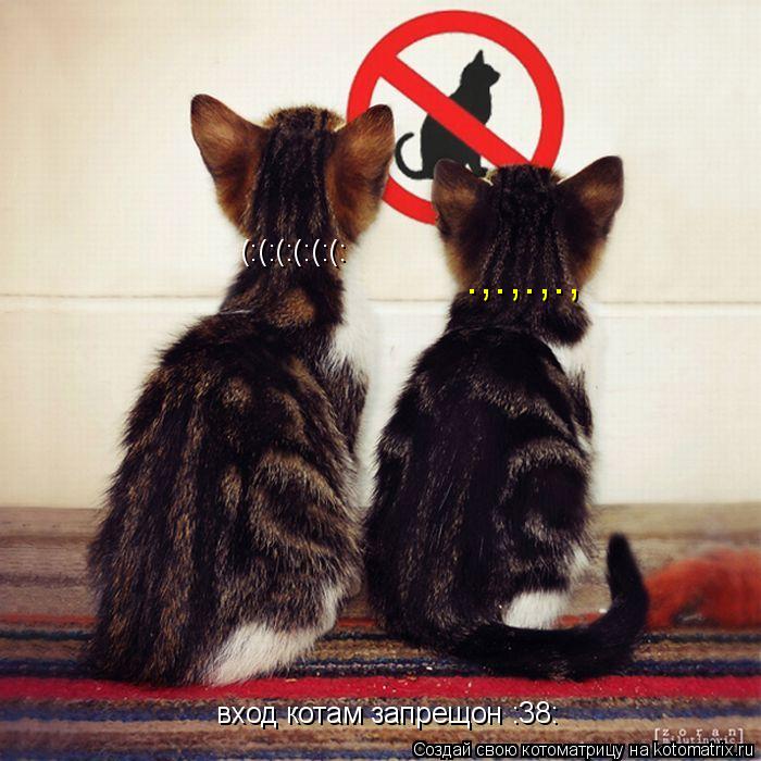 вход котам запрещон :38: (:(:(:(:(:(: .,.,.,.,... Котоматрица: вход котам запрещон :38: (:(:(:(:(:(: .,.,.,.,