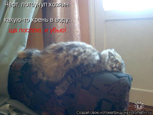Чёрт, потсунул хозяин какую-то хрень в воду... ща посплю, и убью!... Котоматрица: Чёрт, потсунул хозяин какую-то хрень в воду... ща посплю, и убью!