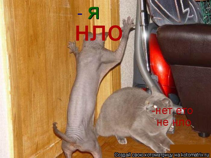 я нло -нет ето не нло -... Котоматрица: я нло -нет ето не нло -
