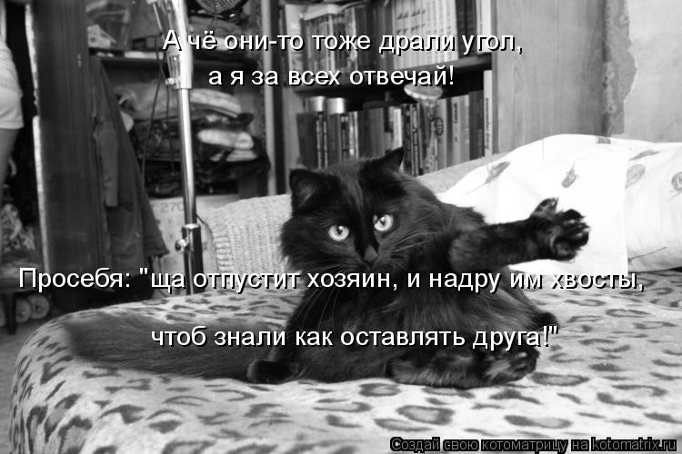 А чё они-то тоже драли угол, а я за всех отвечай! Просебя: "ща отпустит хозяин, и надру им хвосты, ... Котоматрица: А чё они-то тоже драли угол, а я за всех отвечай! Просебя: "ща отпустит хозяин, и надру им хвосты, чтоб знали как оставлять друга!"