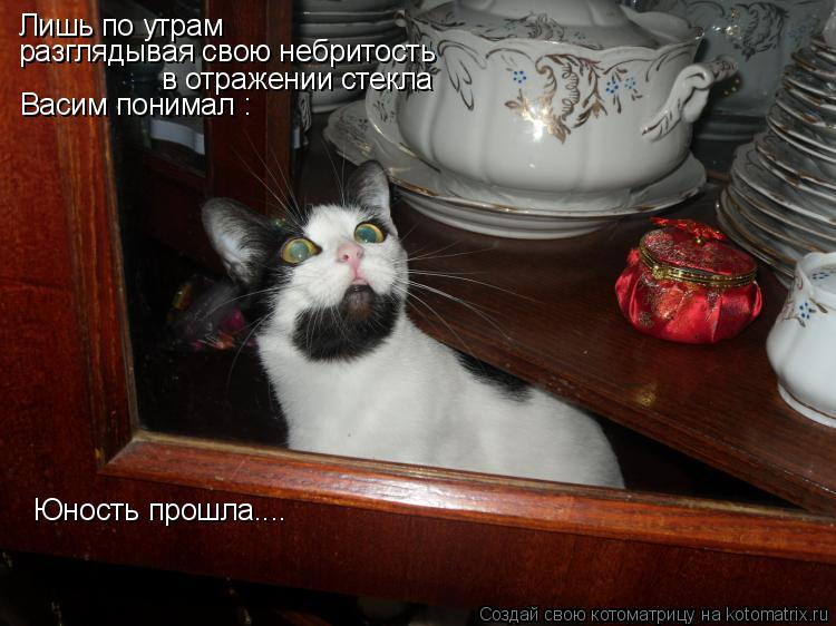 Лишь по утрам разглядывая свою небритость в отражении стекла Васим понимал : Юность прошла....... Котоматрица: Лишь по утрам разглядывая свою небритость в отражении стекла Васим понимал : Юность прошла....
