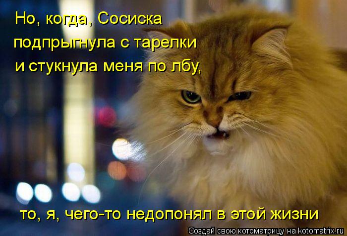 Котоматрица: Но, когда, Сосиска подпрыгнула с тарелки и стукнула меня по лбу, то, я, чего-то недопонял в этой жизни