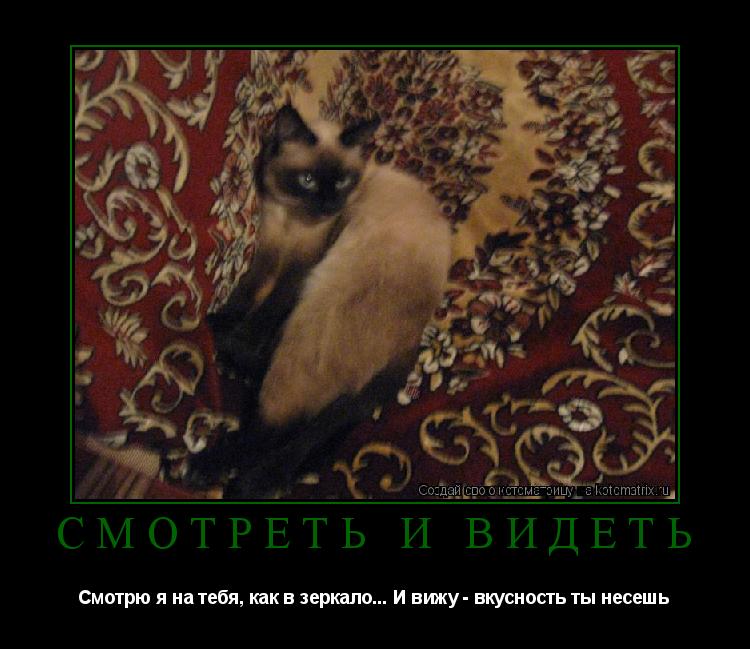 Котоматрица: Смотреть и Видеть Смотрю я на тебя, как в зеркало... И вижу - вкусность ты несешь