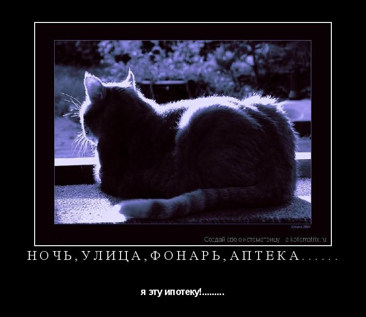 ночь,улица,фонарь,аптека...... я эту ипотеку!............ Котоматрица: ночь,улица,фонарь,аптека...... я эту ипотеку!.........