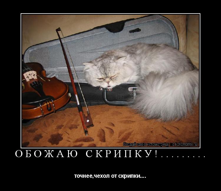 обожаю скрипку!......... точнее,чехол от скрипки....... Котоматрица: обожаю скрипку!......... точнее,чехол от скрипки....