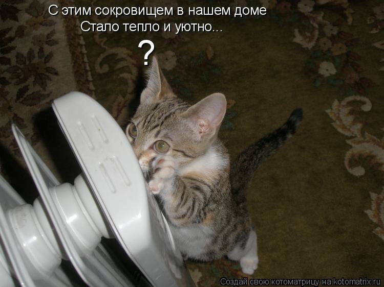 С этим сокровищем в нашем доме Стало тепло и уютно... ?... Котоматрица: С этим сокровищем в нашем доме Стало тепло и уютно... ?