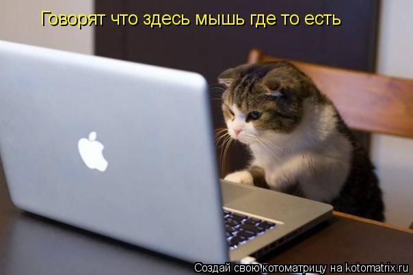 Котоматрица: Говорят что здесь мышь где то есть