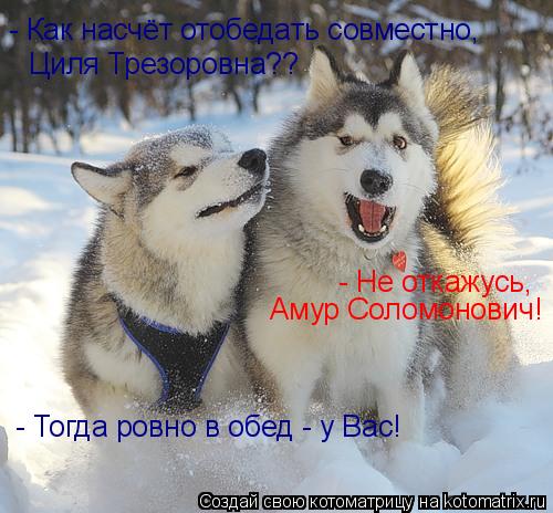 - Как насчёт отобедать совместно, Циля Трезоровна?? - Не откажусь, Амур Соломонович! - Тогда ровно в ... Котоматрица: - Как насчёт отобедать совместно, Циля Трезоровна?? - Не откажусь, Амур Соломонович! - Тогда ровно в обед - у Вас!