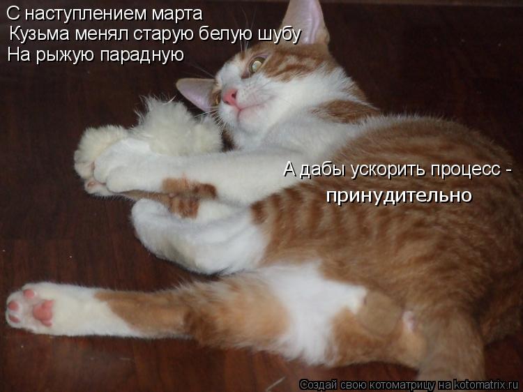 С наступлением марта Кузьма менял старую белую шубу На рыжую парадную А дабы ускорить процесс - прин... Котоматрица: С наступлением марта Кузьма менял старую белую шубу На рыжую парадную А дабы ускорить процесс - принудительно