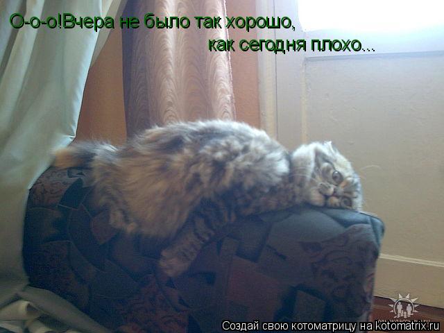 О-о-о!Вчера не было так хорошо, как сегодня плохо...... Котоматрица: О-о-о!Вчера не было так хорошо, как сегодня плохо...