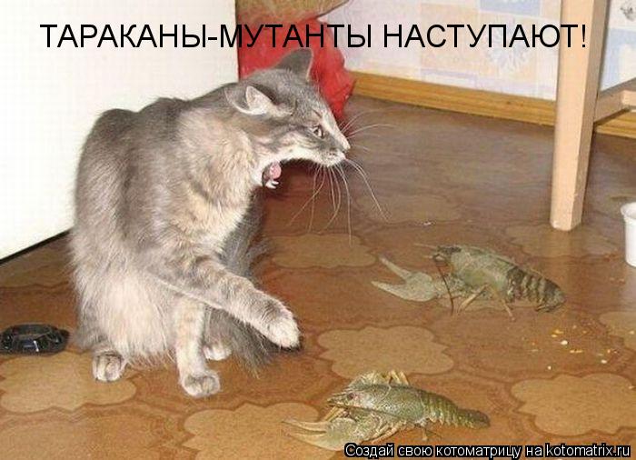 ТАРАКАНЫ-МУТАНТЫ Наступают ТАРАКАНЫ-МУТАНТЫ НАСТУПАЮТ!... Котоматрица: ТАРАКАНЫ-МУТАНТЫ Наступают ТАРАКАНЫ-МУТАНТЫ НАСТУПАЮТ!