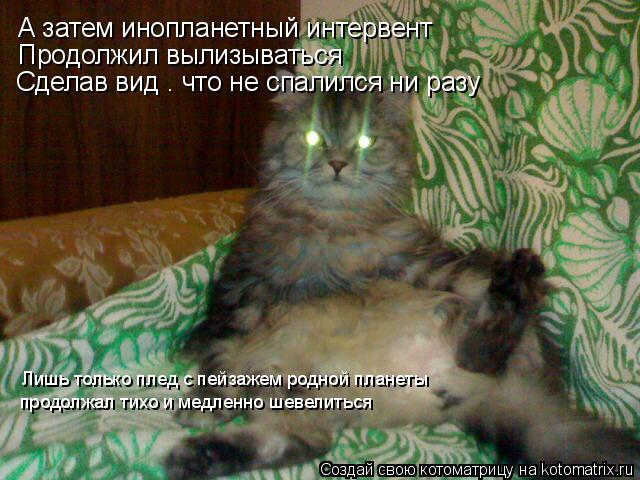 Котоматрица: А затем инопланетный интервент Продолжил вылизываться Сделав вид . что не спалился ни разу Лишь только плед с пейзажем родной планеты прод
