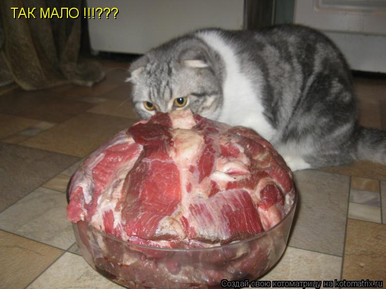 ТАК МАЛО !!!???... Котоматрица: ТАК МАЛО !!!???